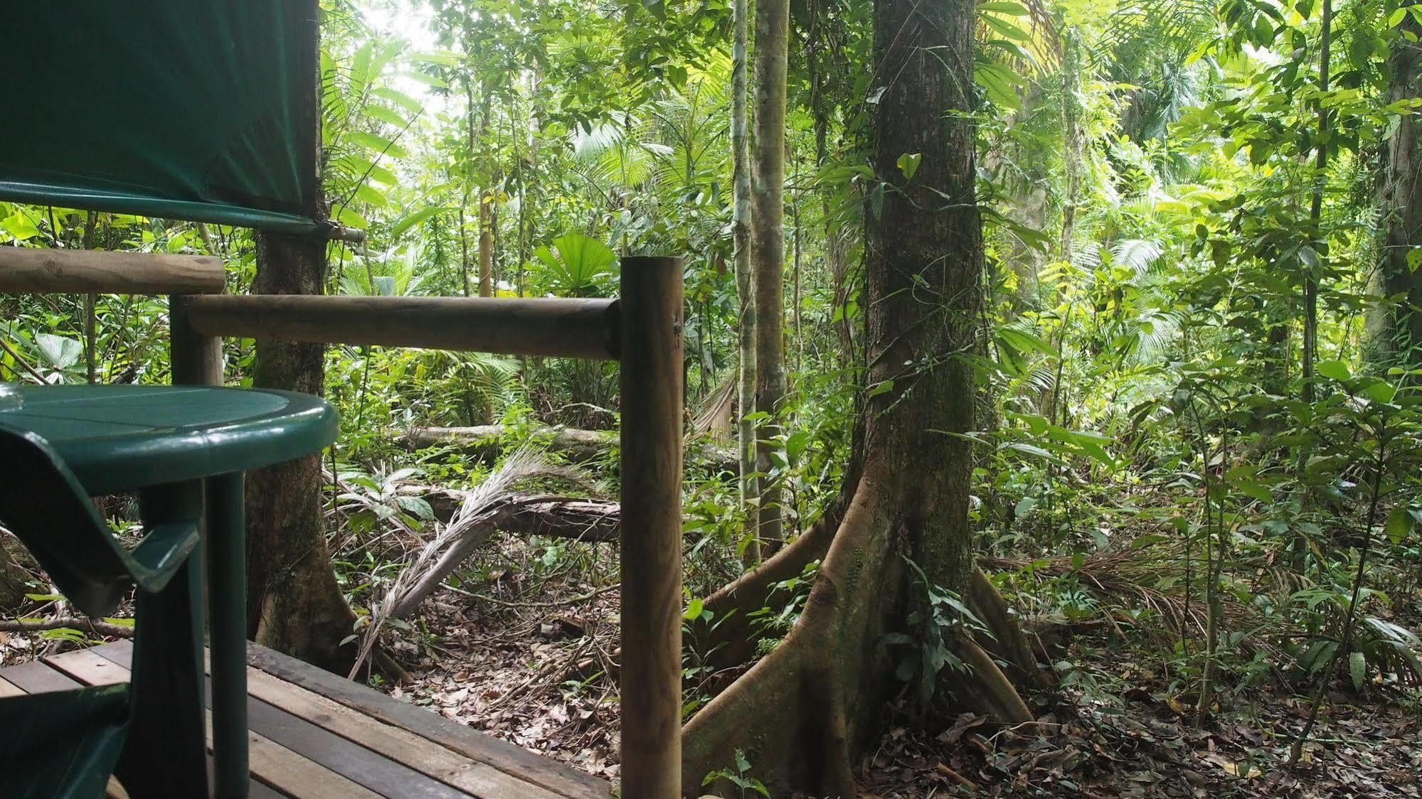 Daintree Crocodylus Vila Cow Bay Exterior foto