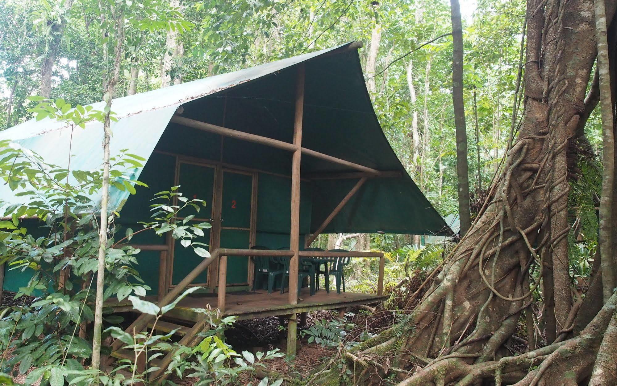 Daintree Crocodylus Vila Cow Bay Exterior foto