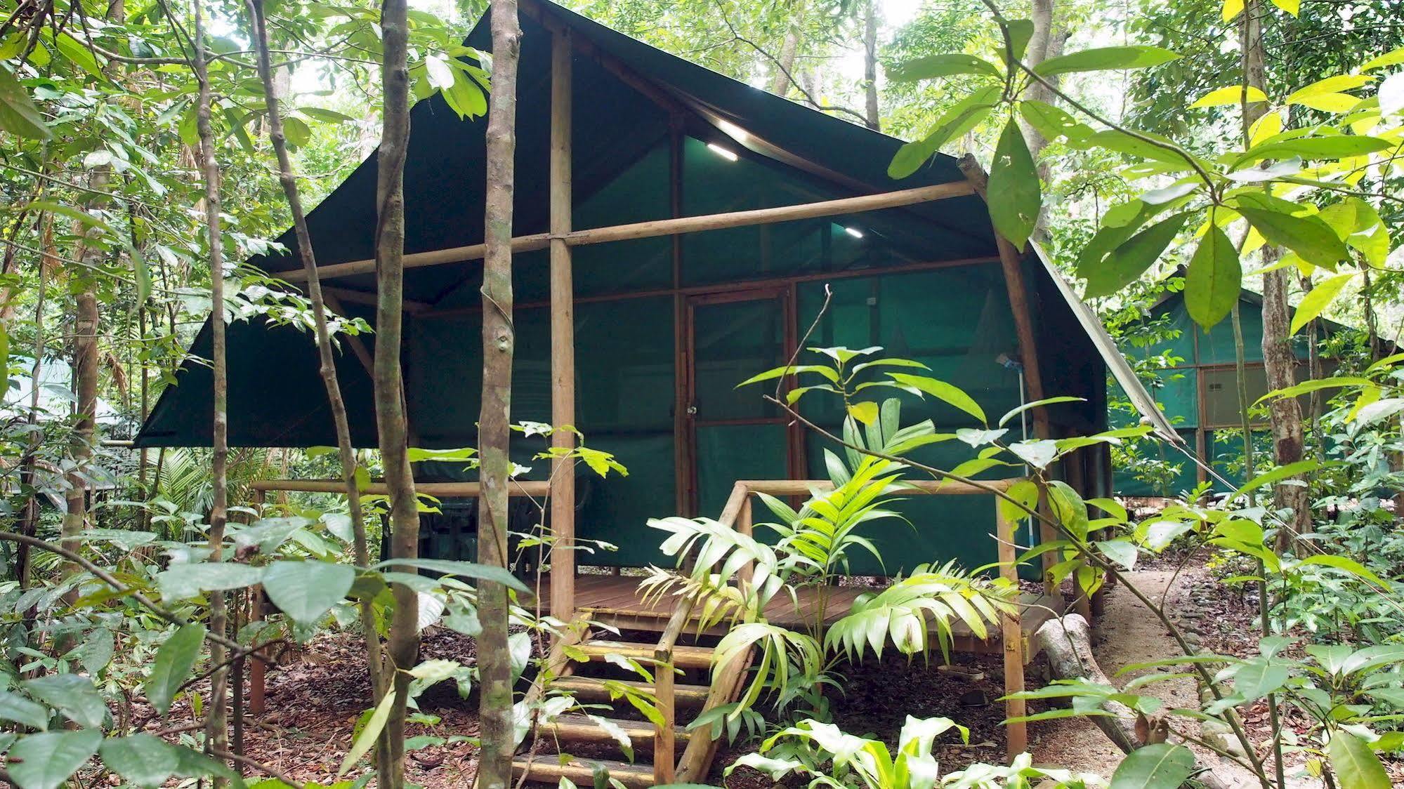 Daintree Crocodylus Vila Cow Bay Exterior foto