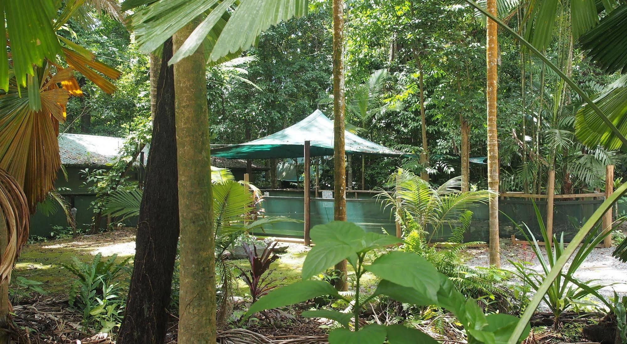 Daintree Crocodylus Vila Cow Bay Exterior foto