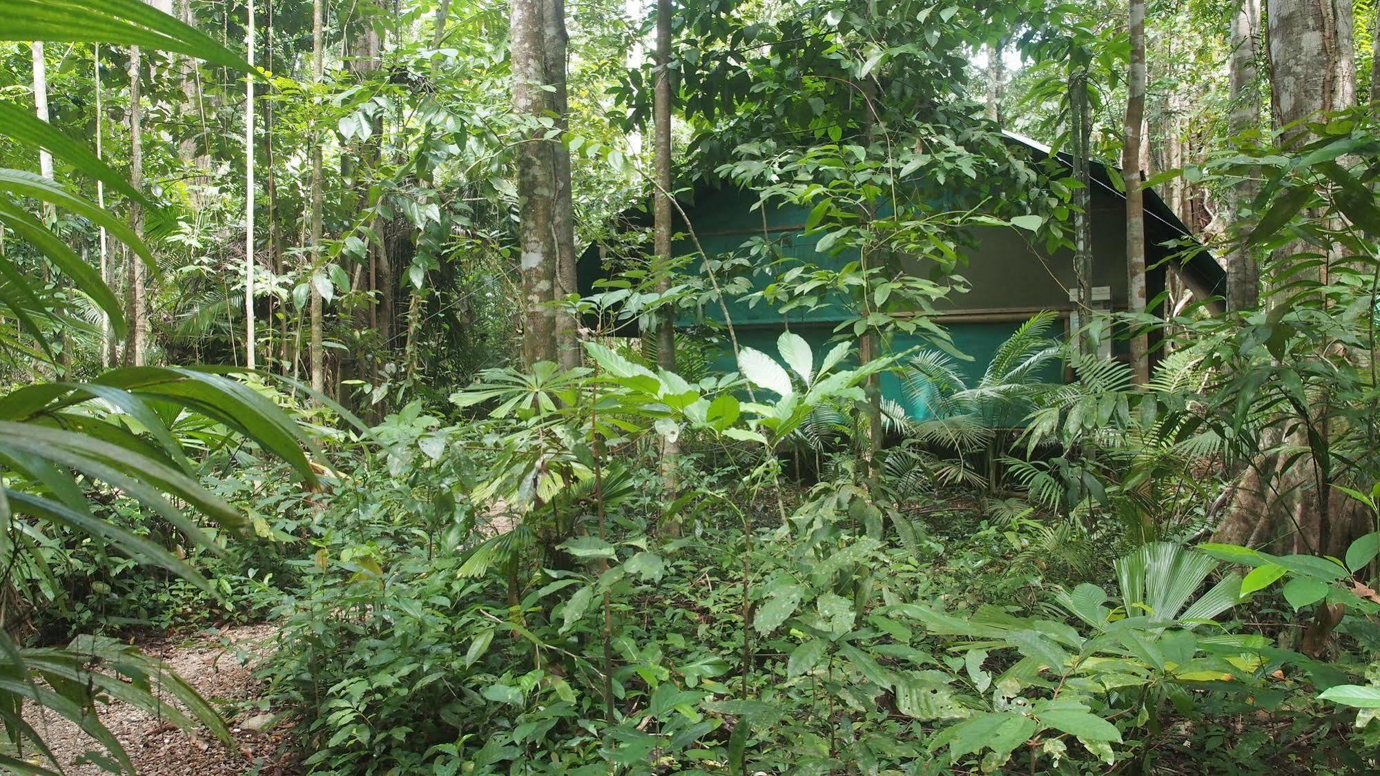 Daintree Crocodylus Vila Cow Bay Exterior foto