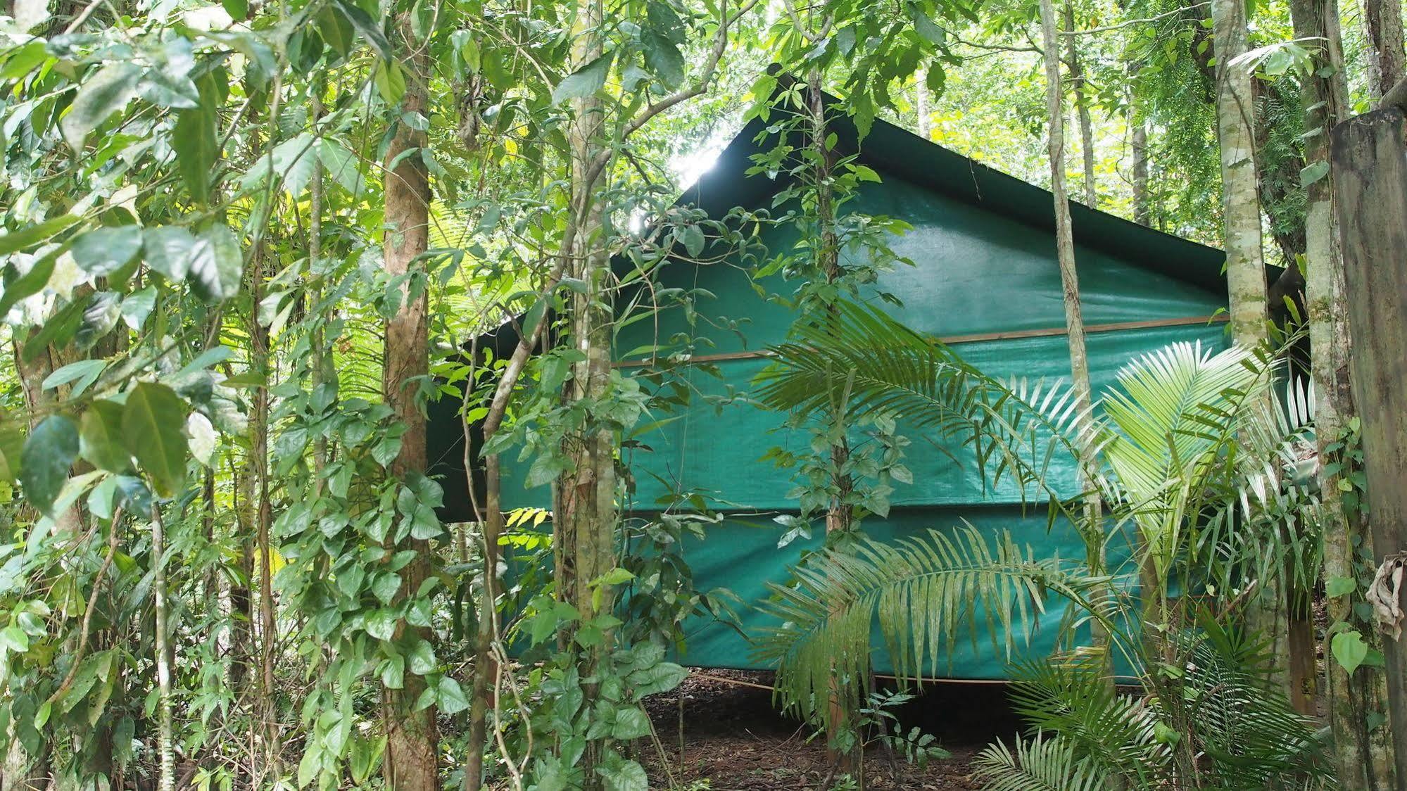 Daintree Crocodylus Vila Cow Bay Exterior foto