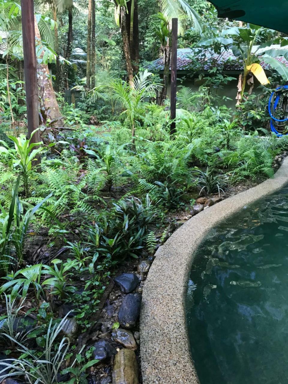 Daintree Crocodylus Vila Cow Bay Exterior foto
