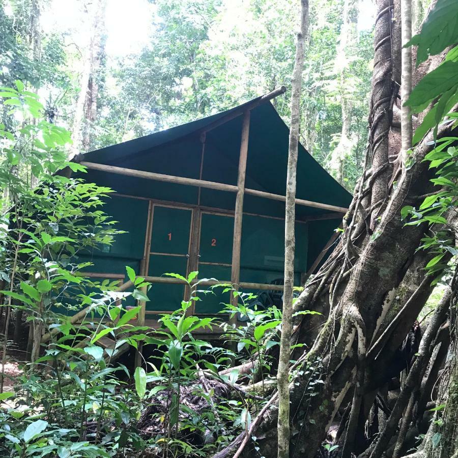 Daintree Crocodylus Vila Cow Bay Exterior foto