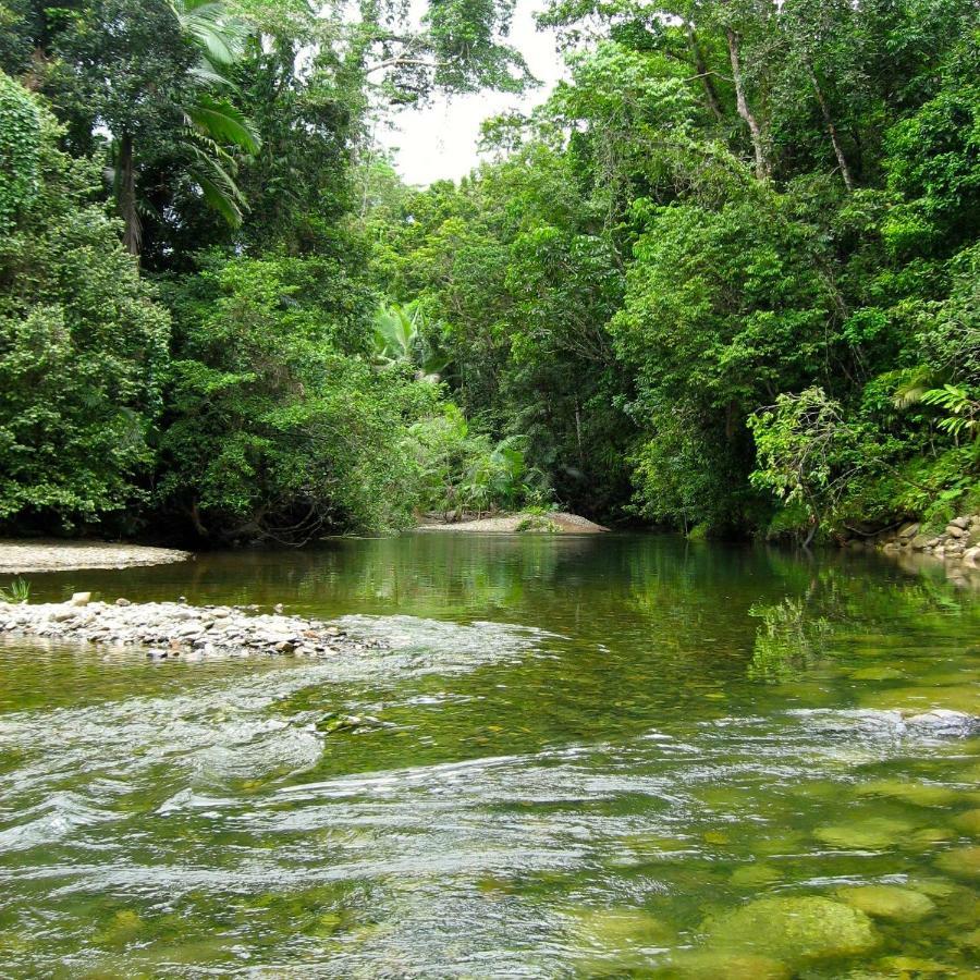 Daintree Crocodylus Vila Cow Bay Exterior foto