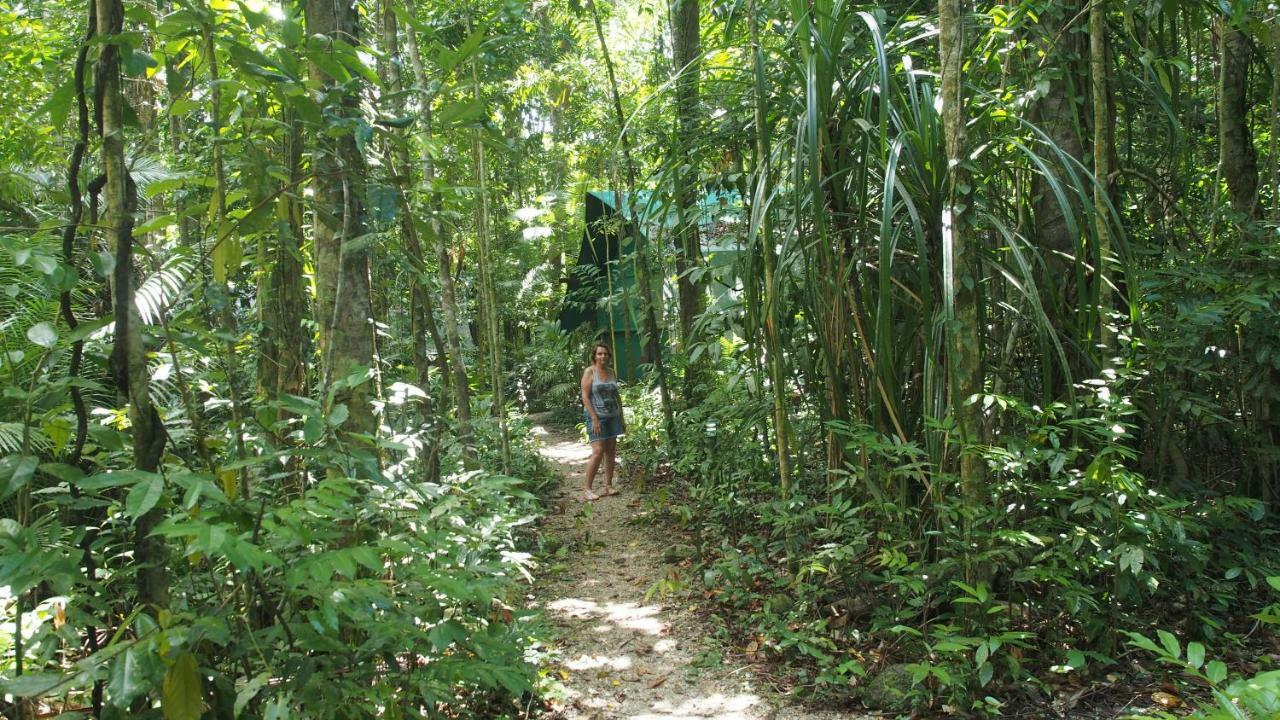 Daintree Crocodylus Vila Cow Bay Exterior foto