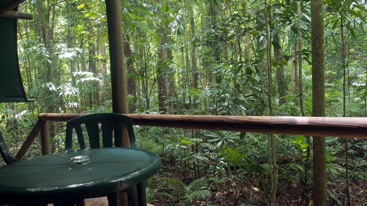Daintree Crocodylus Vila Cow Bay Exterior foto